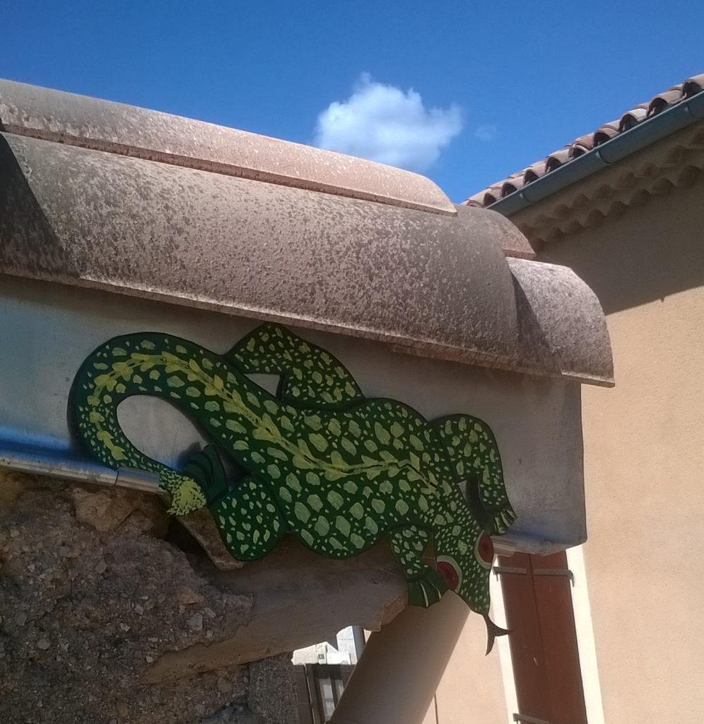 Salamandre 001